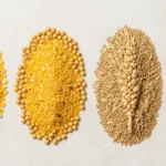Flat lay of corn, soybeans, wheat and barley, the grains used in a vegetable and grain chicken diet
